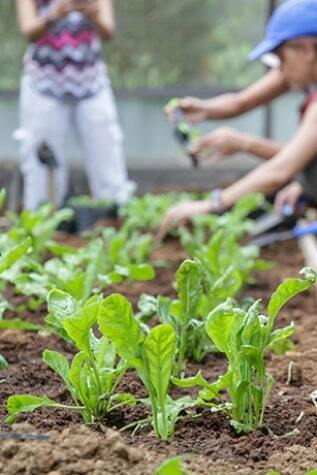La biodiversité