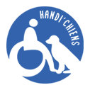 Truffaut X HANDI'CHIENS
