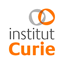 Truffaut X L’Institut Curie