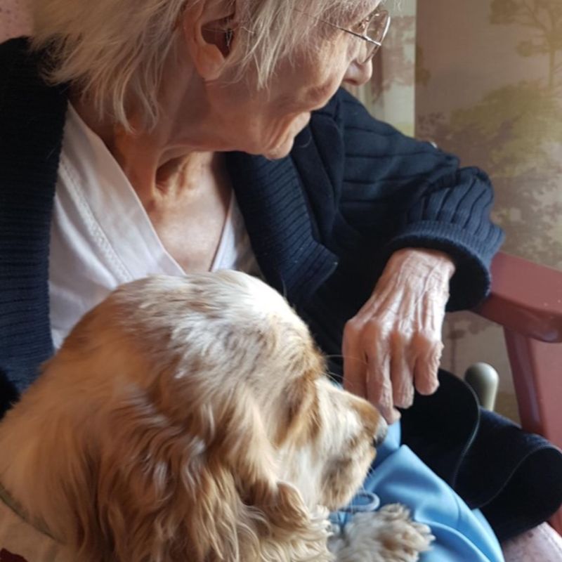 Parole de chien