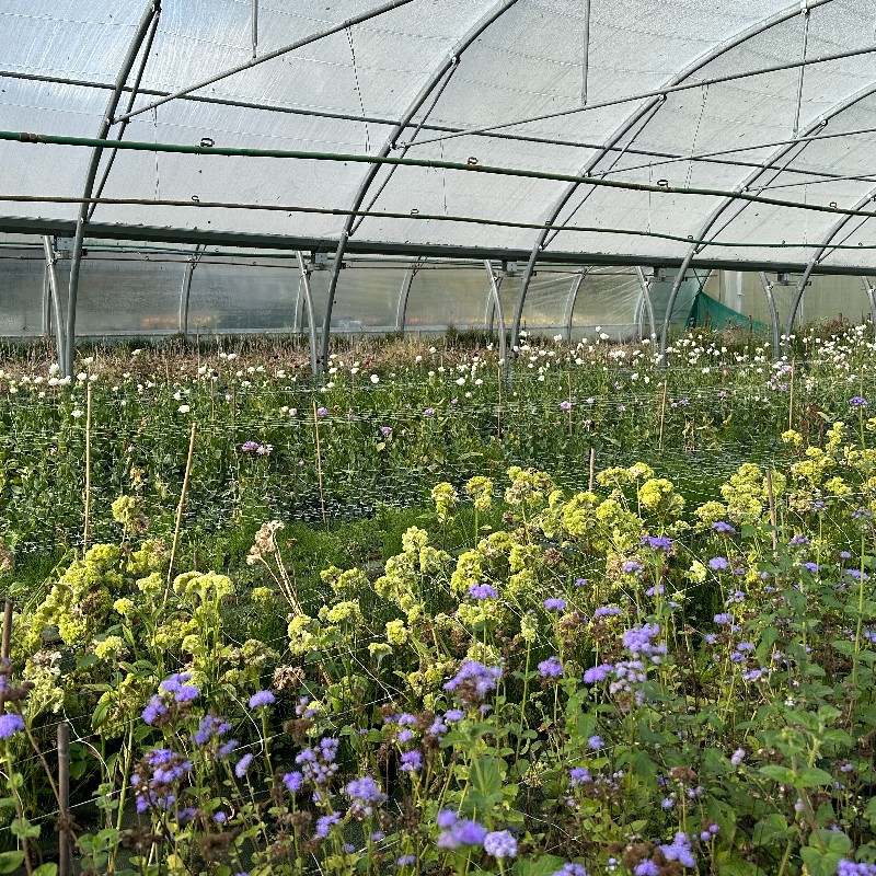 Les Jardins du Cœur