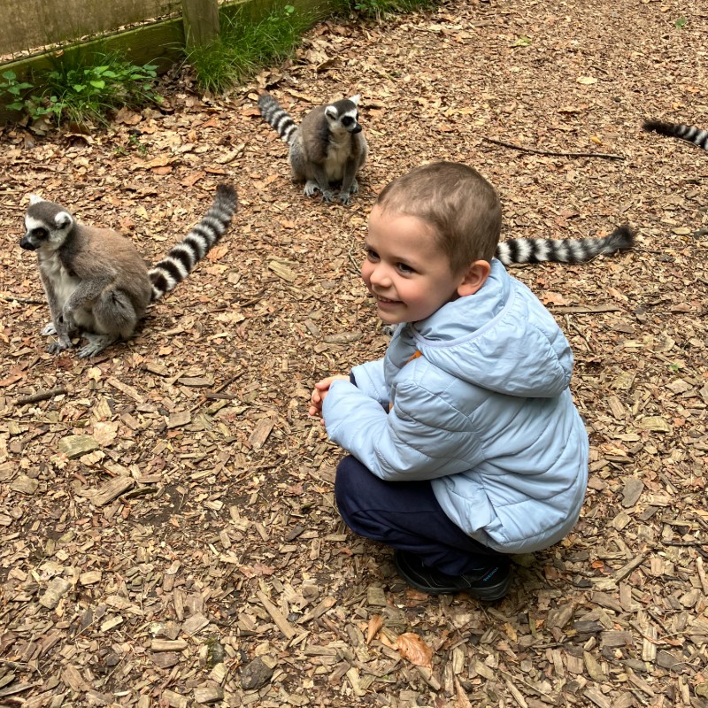 IMG2