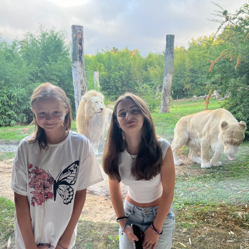 IMG4