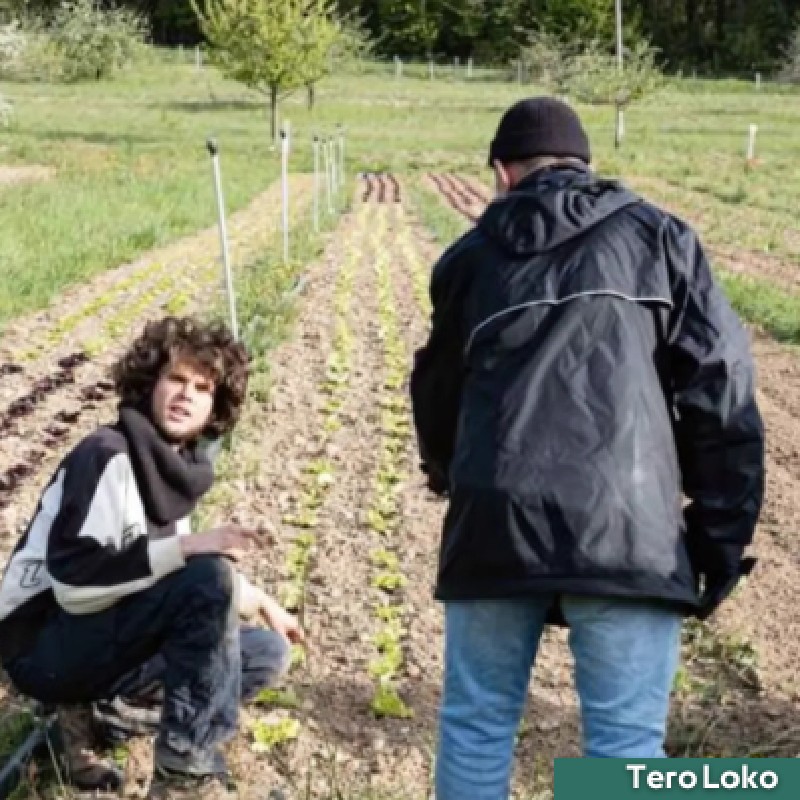 Tero Loko