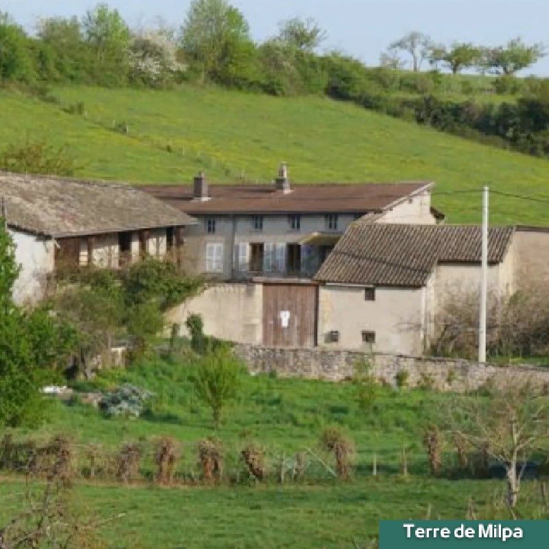 Terre de Milpa