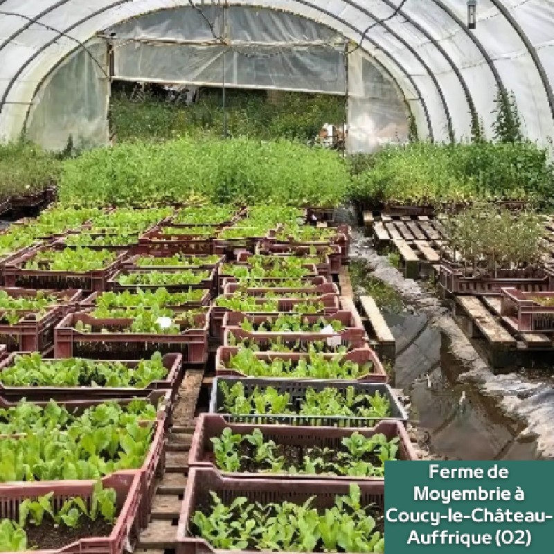 Ferme de Moyembrie