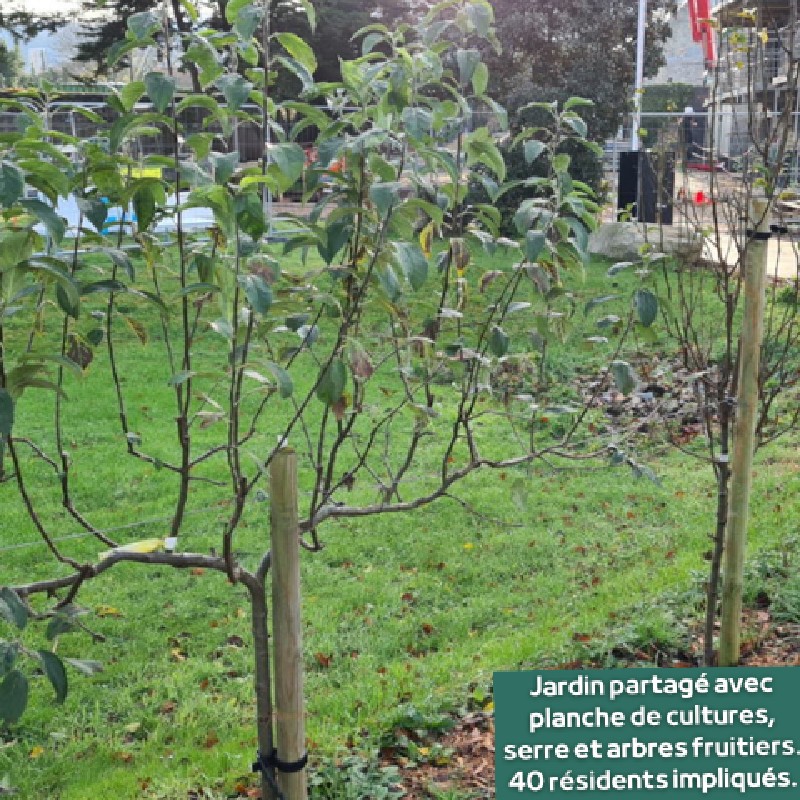 Projets financés